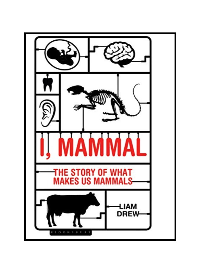 I, Mammal The Story Of What Makes Us Mammals Paperback English by Liam Drew - 43615