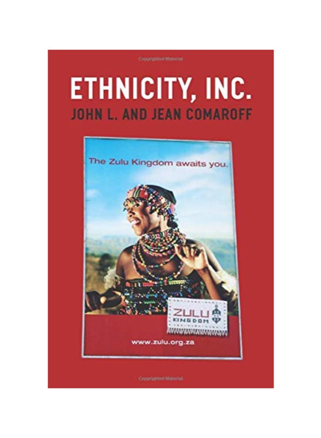 Ethnicity, Inc. paperback english 