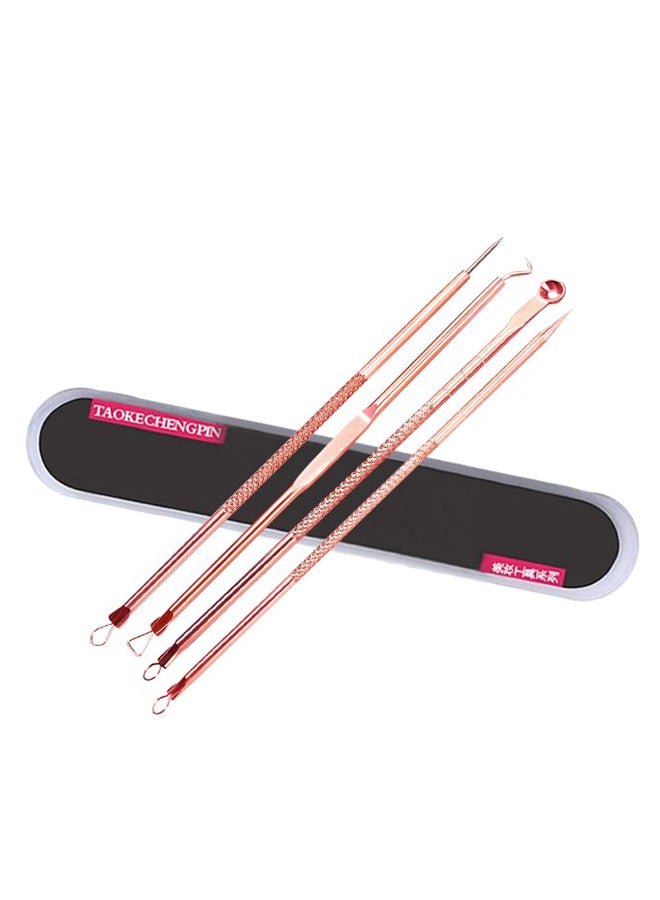 4-Piece Practical Beauty Blackhead Remover Needle Set With Case Gold/Black - Image 1