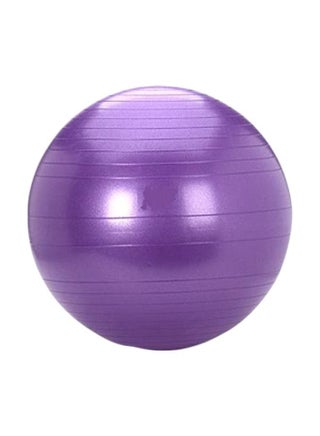 Anti Burst Gym Ball 22inch - v1584181645/N35644677A_1