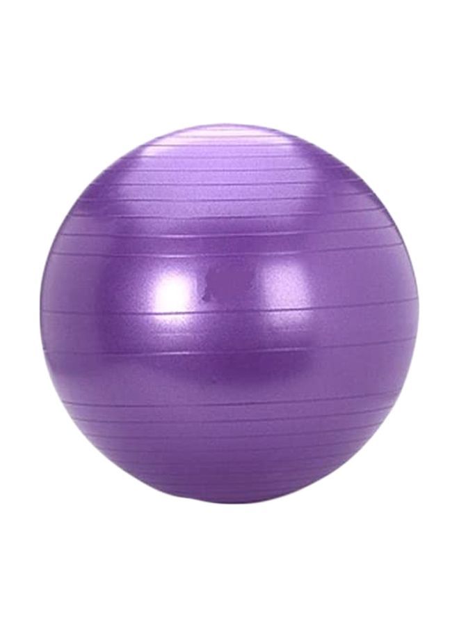 Anti Burst Gym Ball 22inch