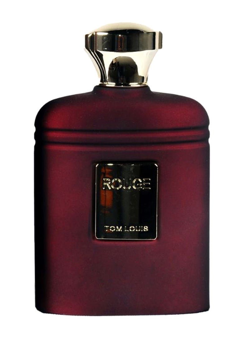روج عطر توم لويس ناتشورال فيبريساتر EDP 100ملليلتر - Image 1