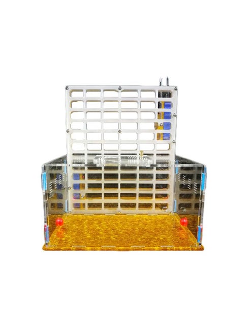 Ant Nest Yellow/Clear/Blue