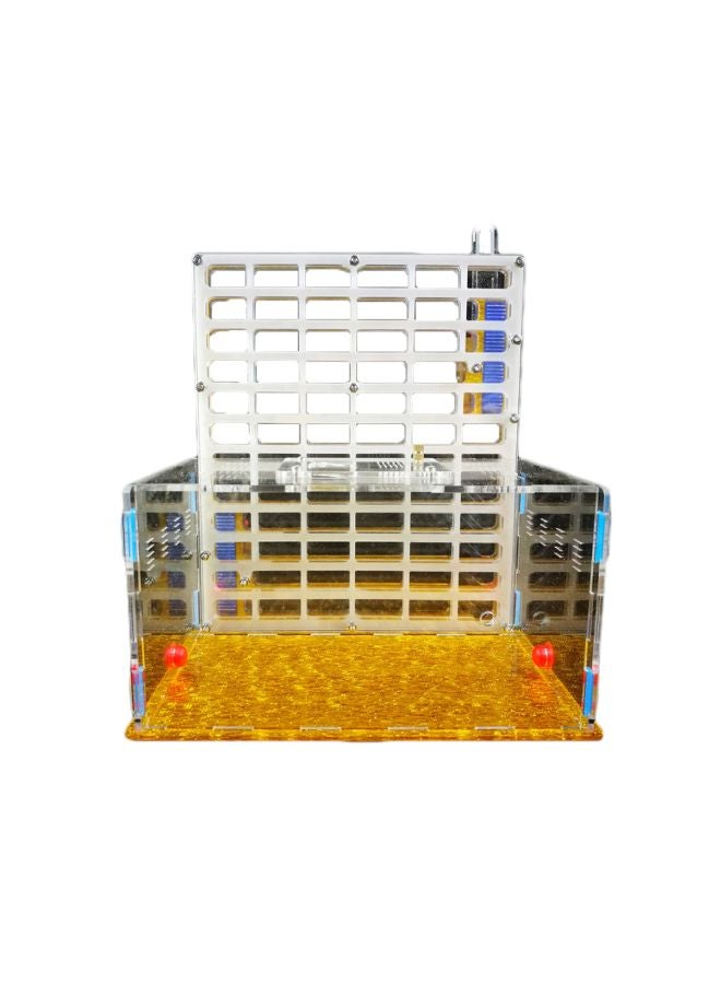 Ant Nest Yellow/Clear/Blue