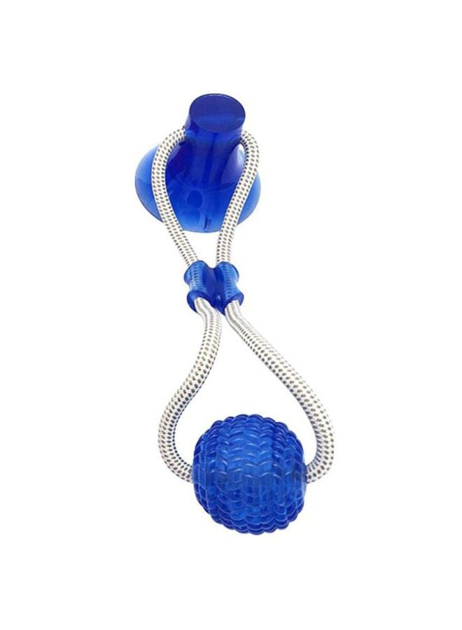 Pet Molar Bite Toy Blue/Silver