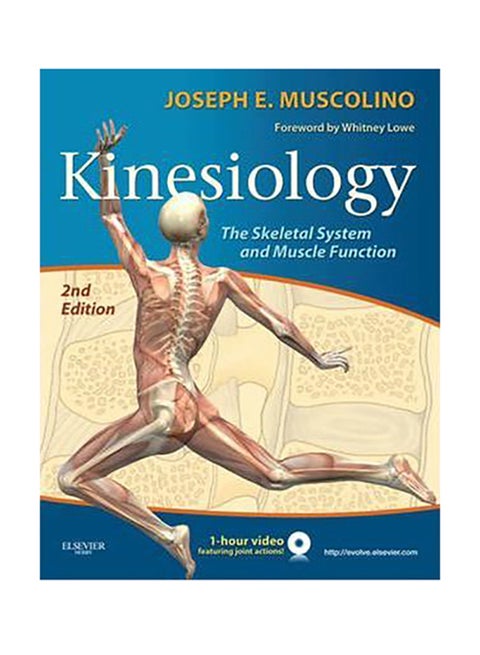 Kinesiology The Skeletal System And Muscle Function paperback english