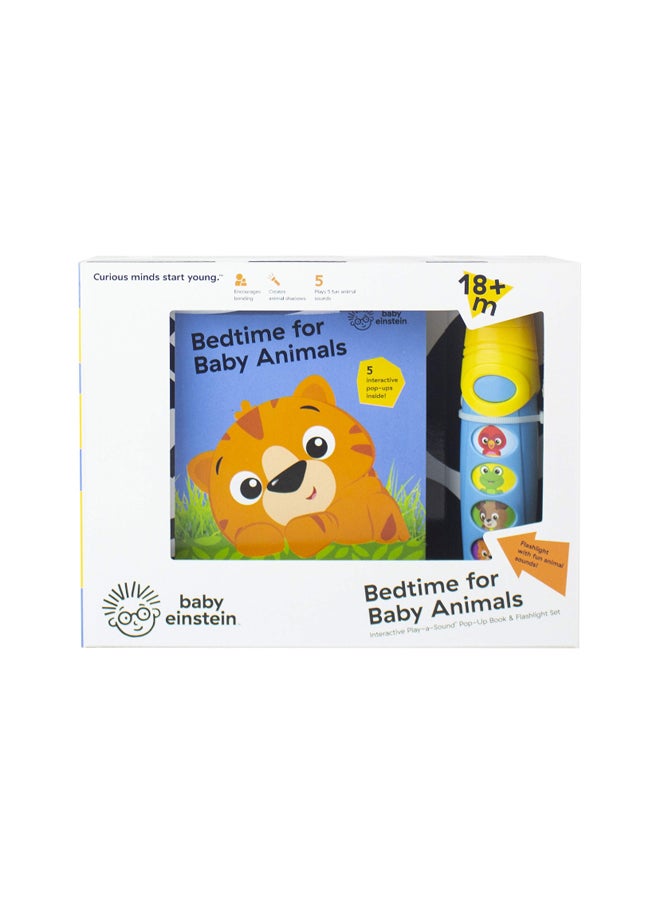 Baby Einstein paperback english - 43266 