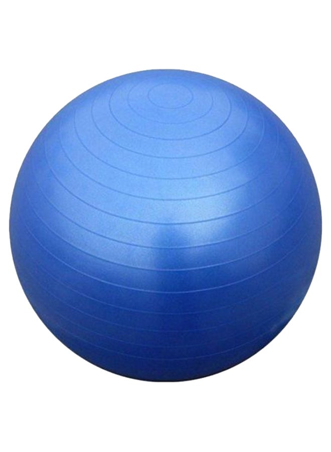 Swiss Fitness Sciatica Yoga Ball 65cm - Image 1