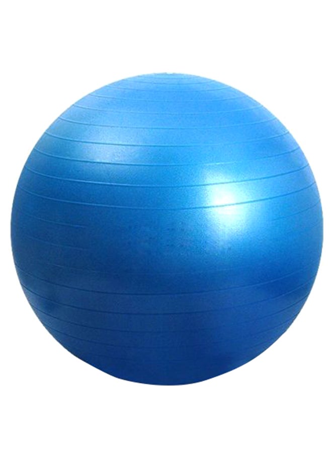 Swiss Fitness Sciatica Yoga Ball 65cm - Image 2
