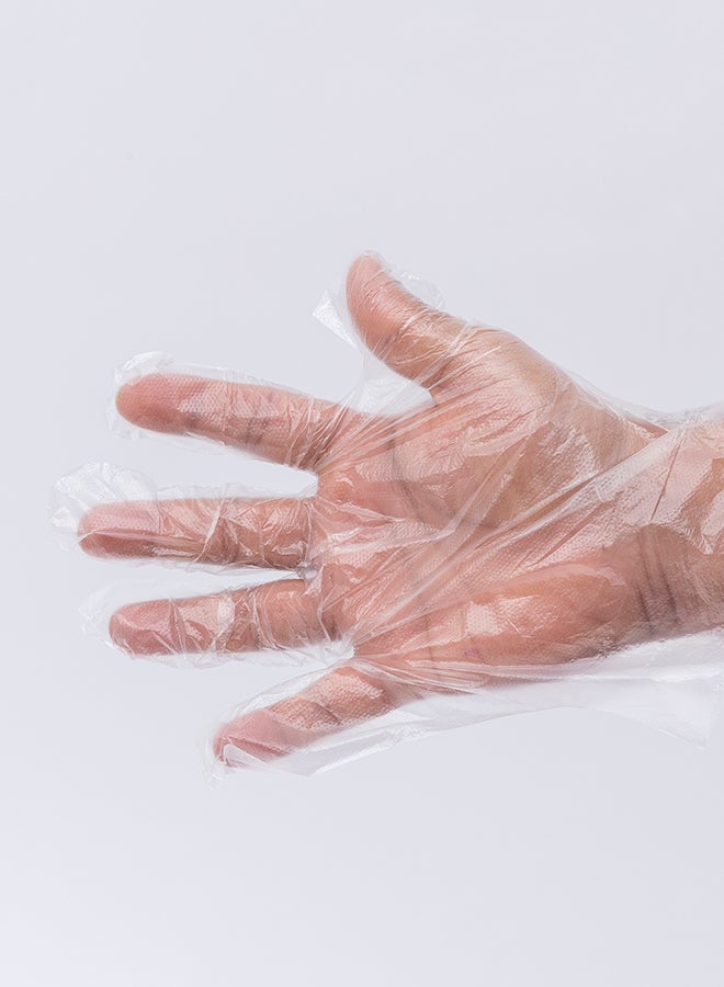 Generic 100-Piece Disposable Gloves Transparent Free Size  - Image 2
