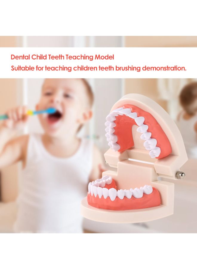 نموذج لأسنان الأسنان متعدد الألوان - Image 3