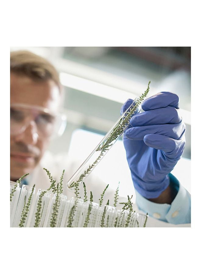 50-Piece Latex Disposable Gloves Purple M - Image 3