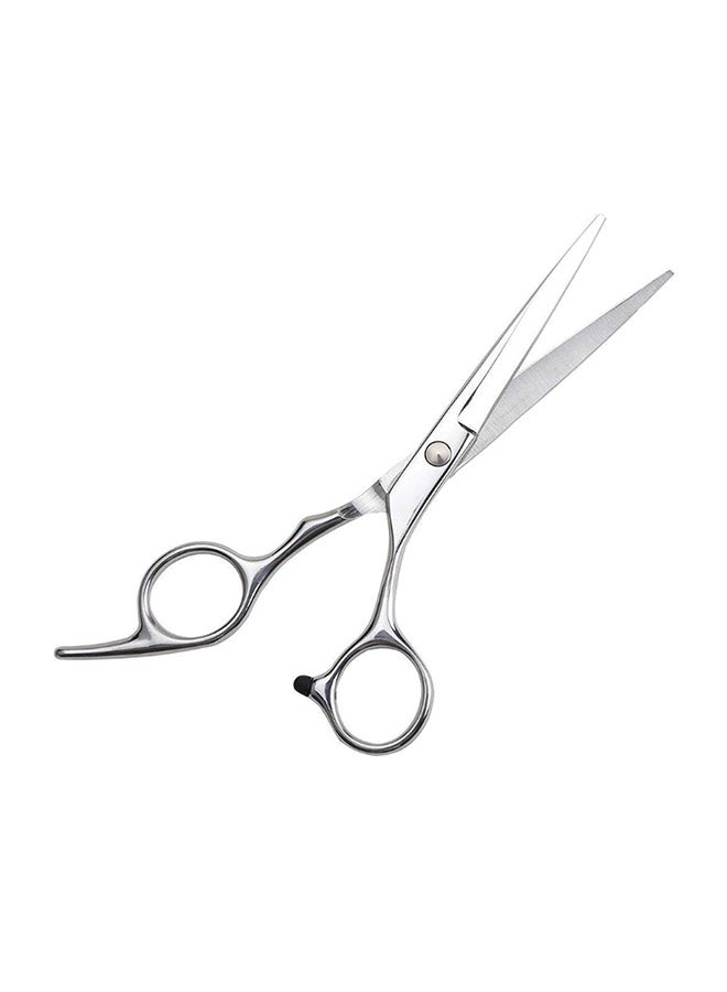 Professional Hair Cutting Scissor Silver - Image 1