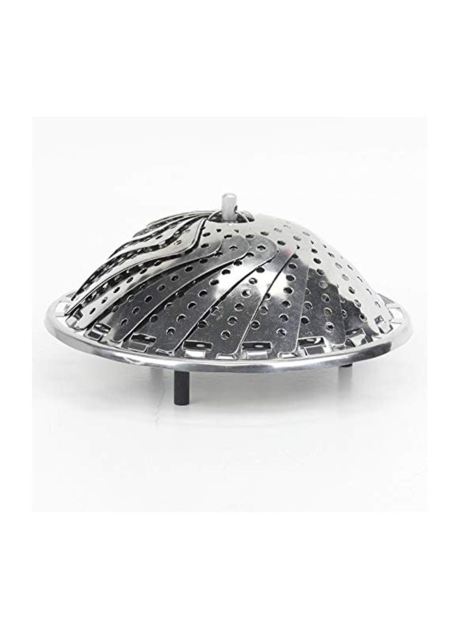 Stainless Steel Steamer Basket Silver 6x9.5inch - v1585641039/N36316265A_2