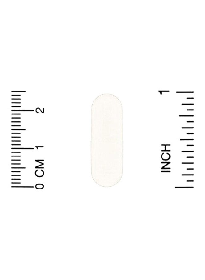 لايف إكستنشن 3 عبوات من المغنيسيوم 500 مجم نباتي - 100 كبسولة - Image 3
