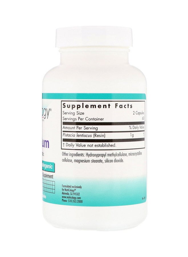 Nutricology Pack Of 3 Mastic Gum Dietary Supplement - 120 Capsules - Image 2