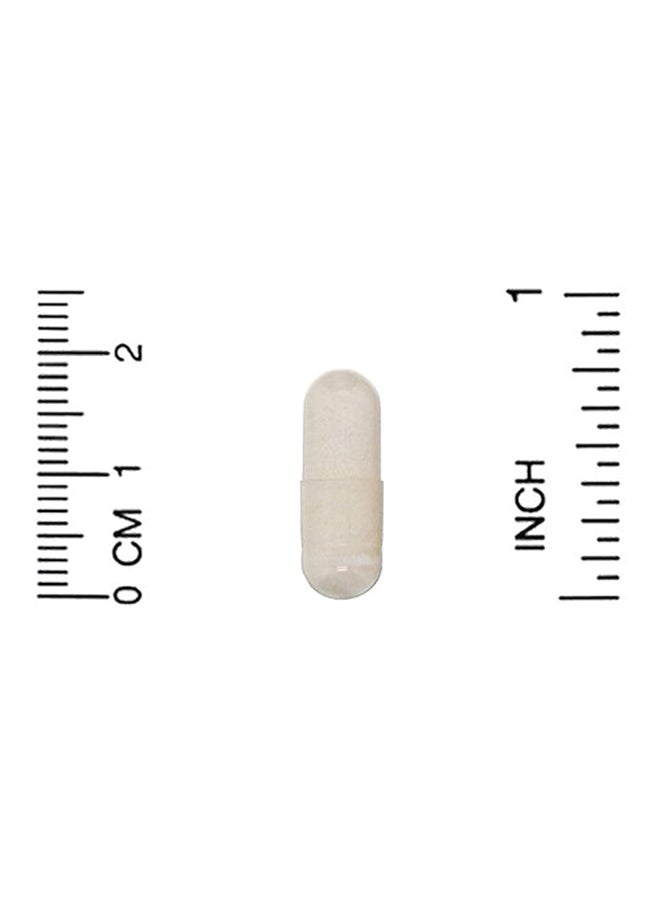 لايف إكستنشن سي لودين - 1000 مكج - 60 كبسولة نباتية - Image 3