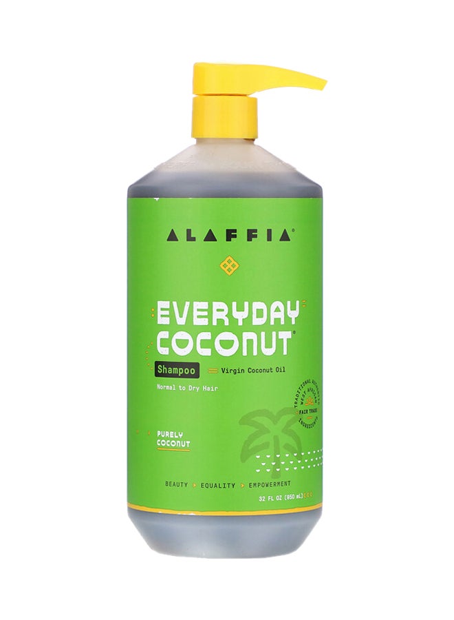 Alaffia Coconut And Ginger Shampoo - Image 1
