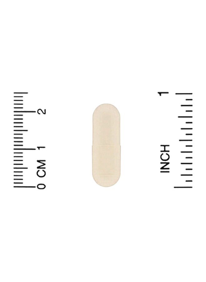 Crystal Star Fibro Defense Dietary Supplement - 60 Vegetarian Capsules - Image 3