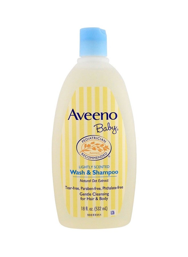 Aveeno Lightly Scented Wash And Shampoo - Image 1