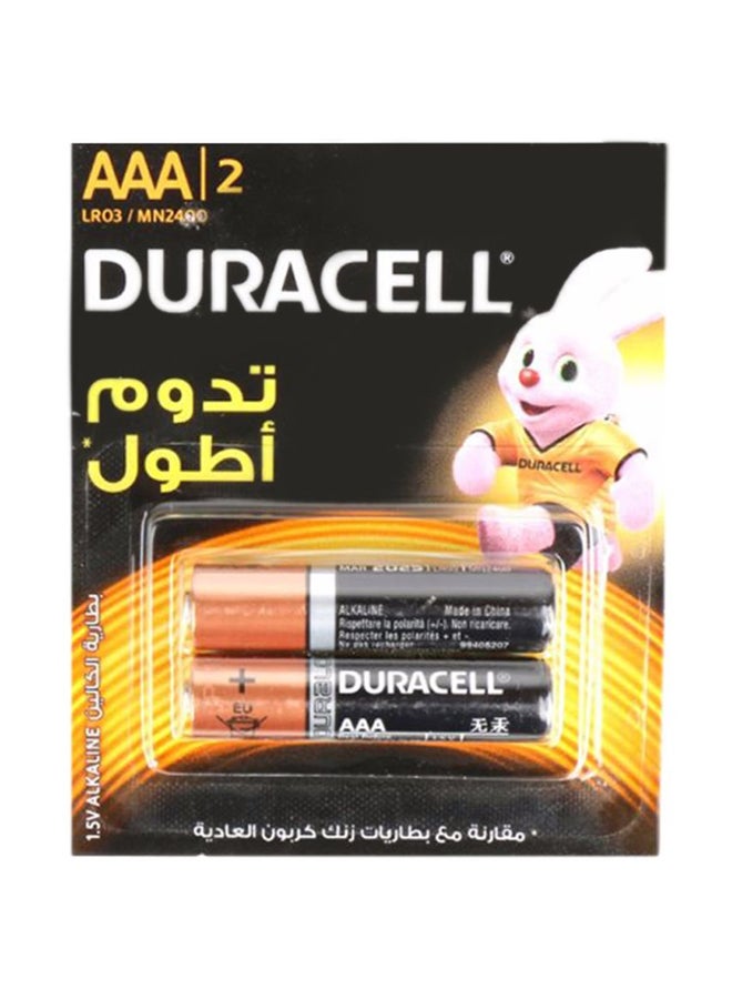 Duracell 2-Piece Replacement Alkaline Battery Set Multicolour 
