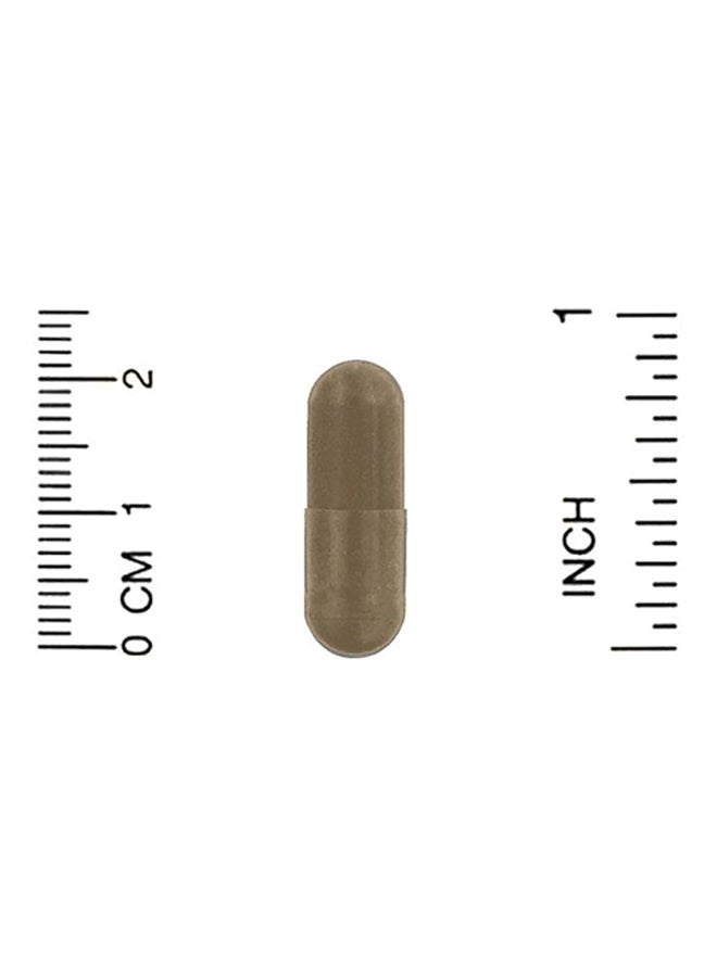 Life Extension - Immune Modulator With Tinofend Capsules - Image 1