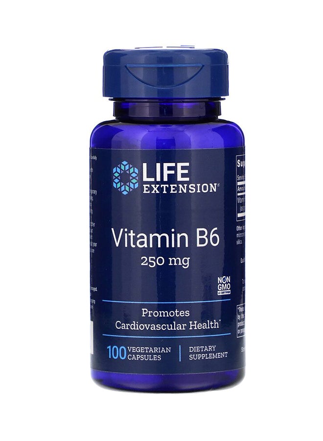 Life Extension Pack Of 2 Vitamin B6 250 mg - 100 Capsules - Image 1