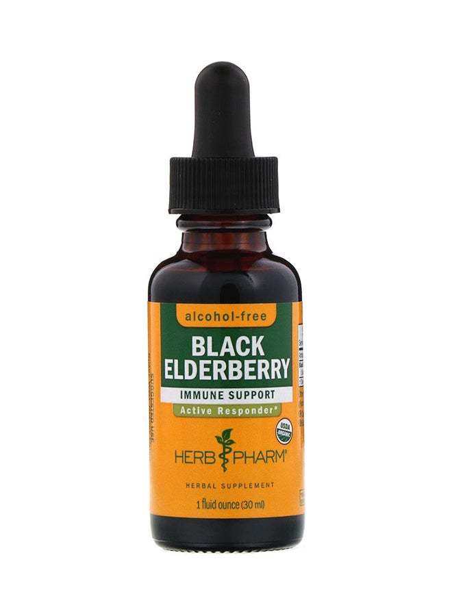 HERB PHARM Black Elderberry Glycerite Immune Support - Image 1