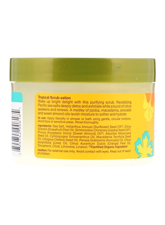 Alba Botanica Sea Salt Body Scrub 411grams  - Image 2