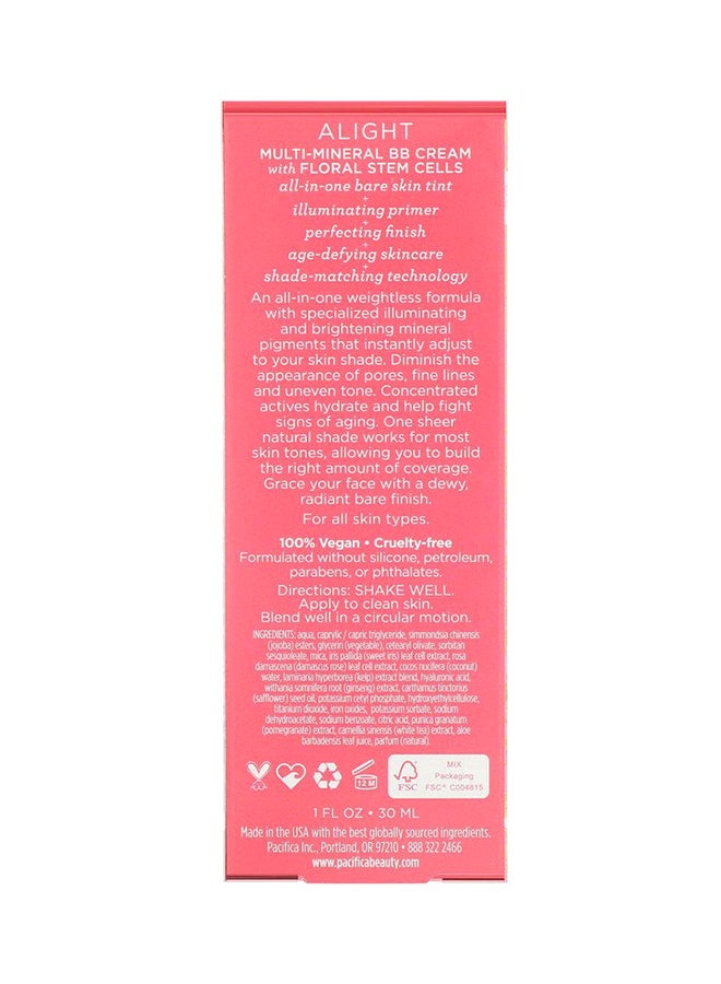 باسيفيكا كريم بي بي آلايت بالمعادن المتعددة - Image 3