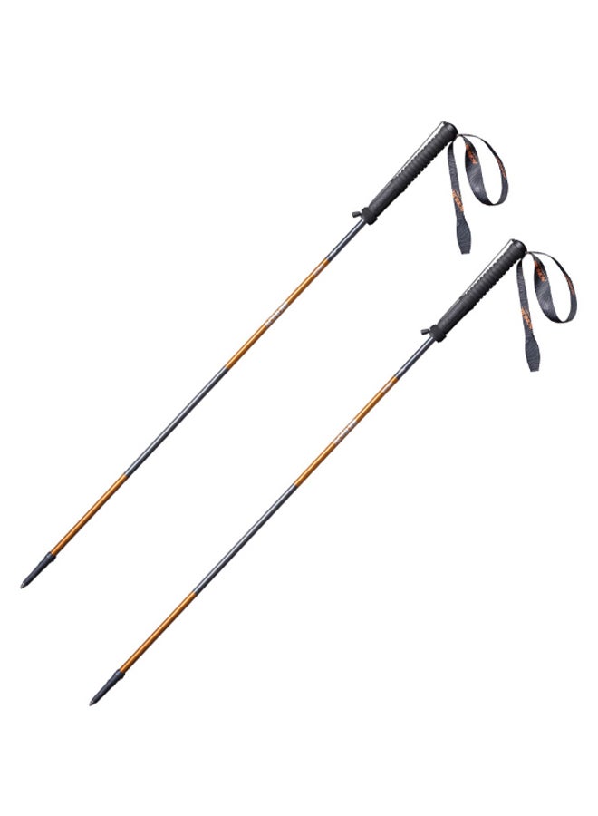 AONIJIE 2-Piece M-Pole Folding Ultralight Quick Lock Trekking Pole Set  - Image 1