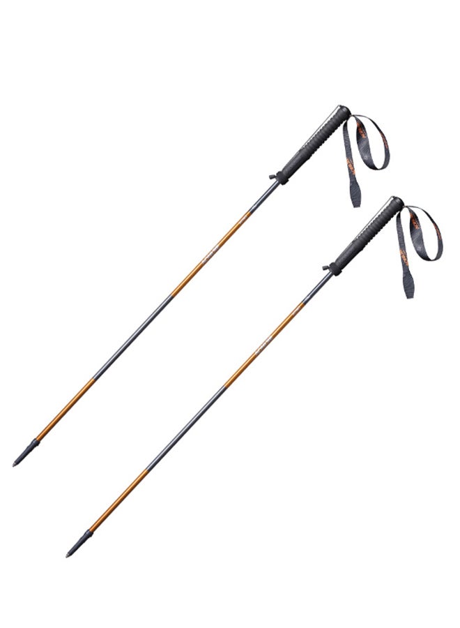 AONIJIE 2-Piece M-Pole Folding Ultralight Quick Lock Trekking Pole Set  - Image 1