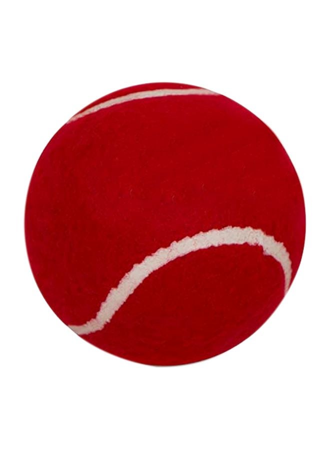Generic Training Tennis Ball 