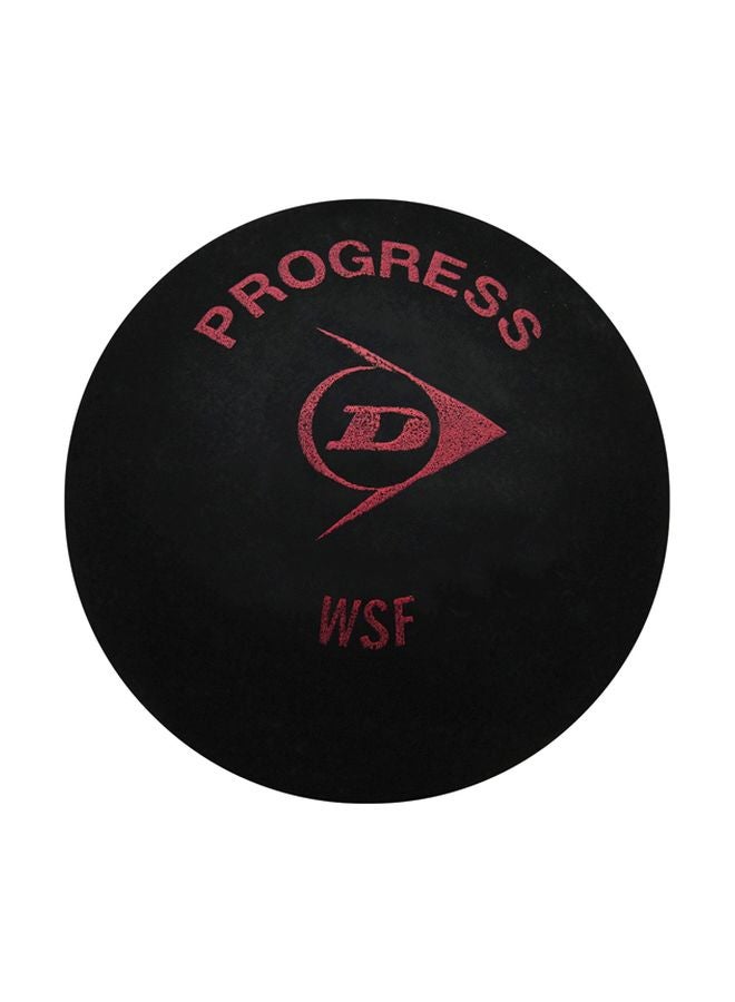 DUNLOP 12-Piece Progress Squash Ball  - Image 1