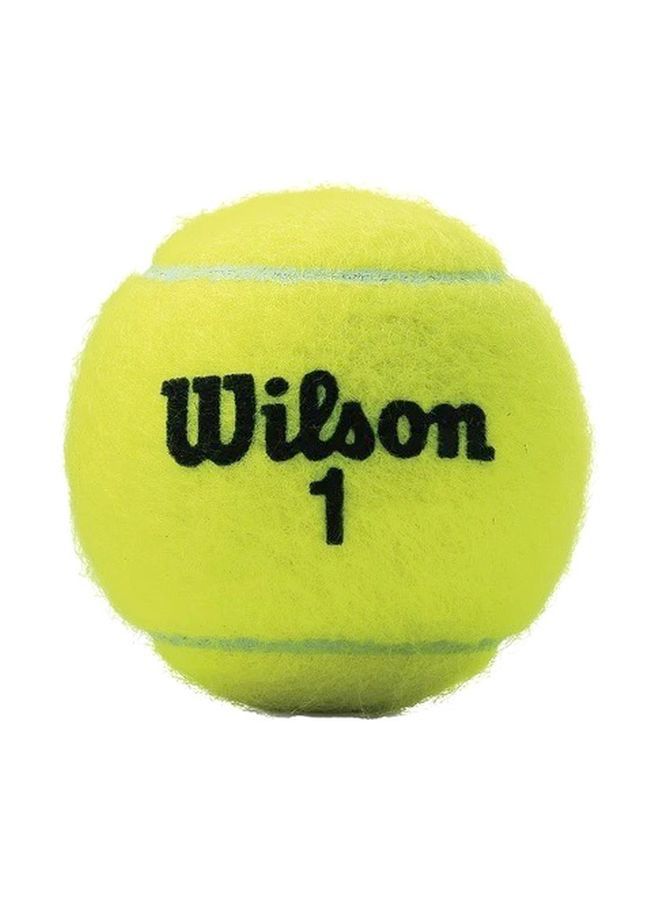 Wilson - Pack Of 4 Championship Extra Duty Tennis Balls Set - Image 1