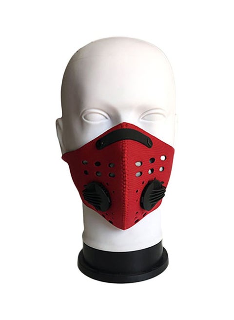 PM2.5 Anti-Smoke Mask With Filter And Ear Loop