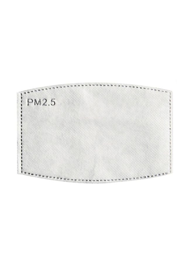 Generic 20-Piece Disposable Mouth Mask Inner Pad Filter  - Image 1