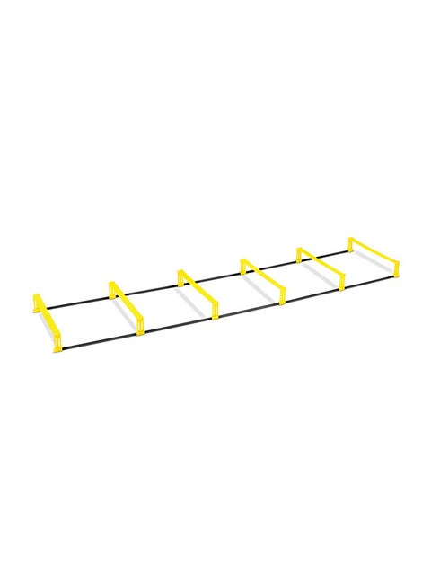Elevation Ladder