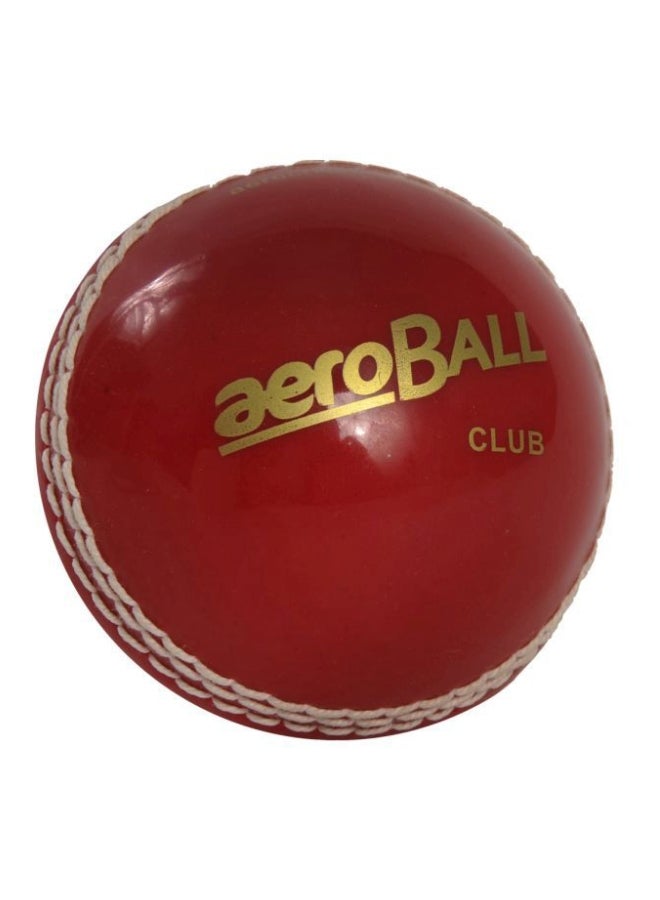 Generic Training Cricket Ball