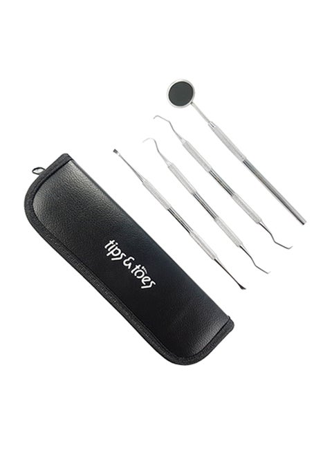 4-Piece Stainless Steel Oral Care Set Silver