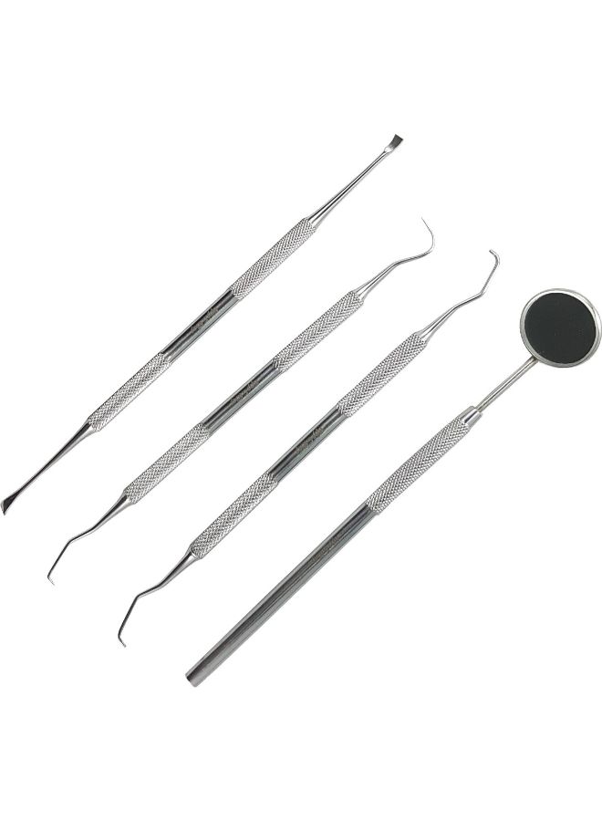 4-Piece Stainless Steel Oral Care Set Silver