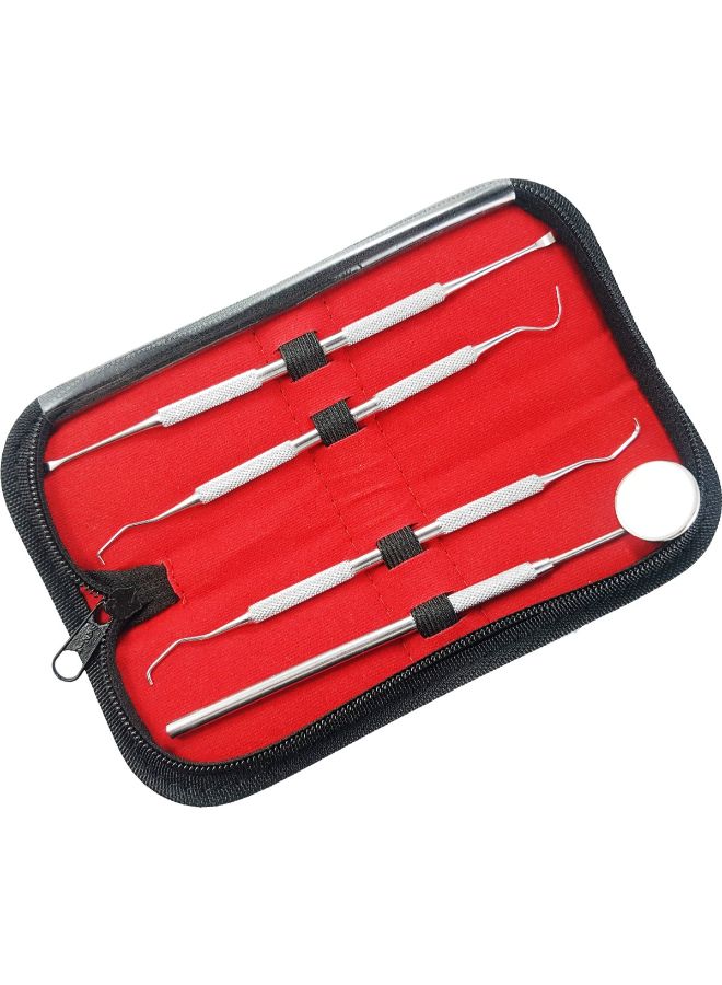 4-Piece Stainless Steel Oral Care Set Silver