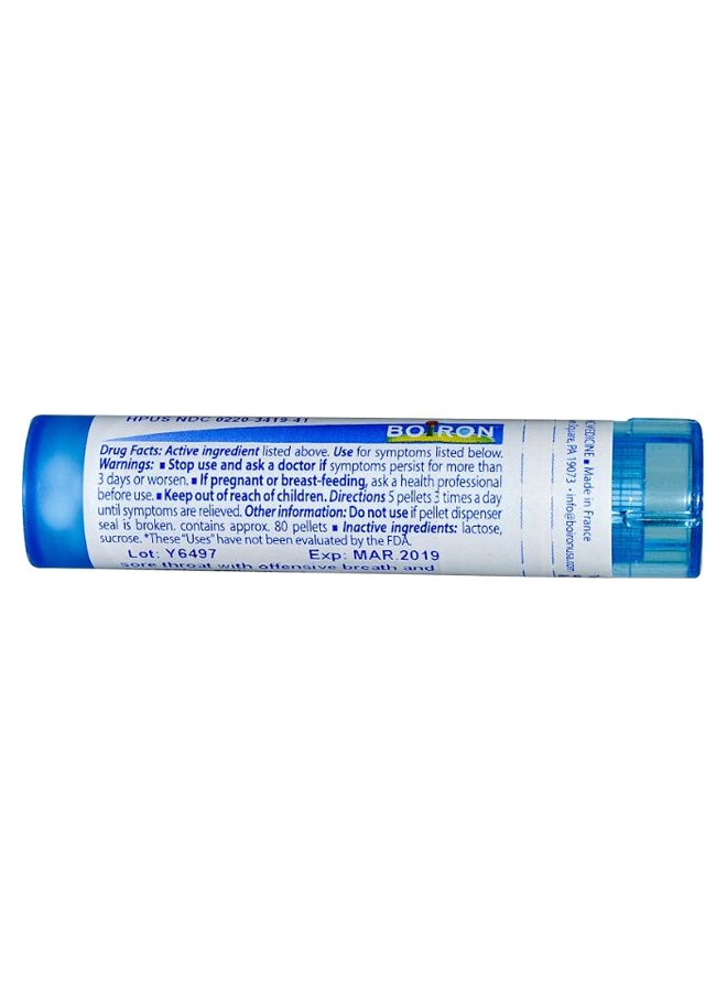 Boiron - Mercurius Solubilis 30C - 80 Pellets - Image 1