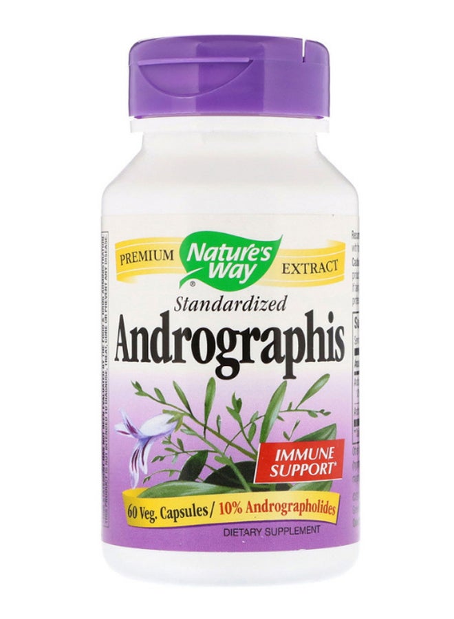 ناتشور واي مكمل غذائي بخلاصة عشبة أندروغرافيس الموحدة - 60 كبسولة - Image 1