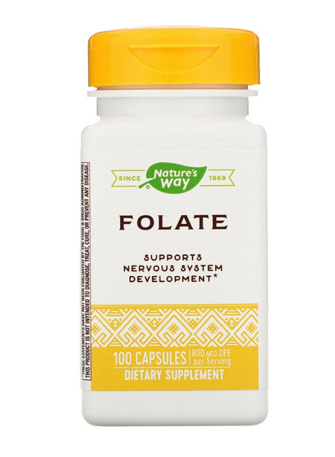 ناتشور واي المكمل الغذائي Folate يحتوي على 100 كبسولة - Image 1