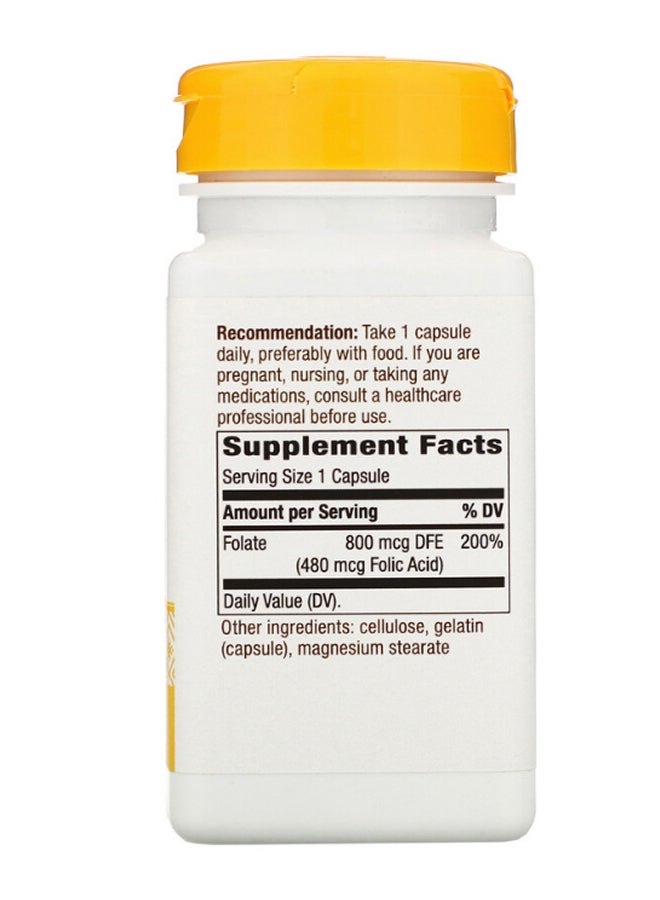 ناتشور واي المكمل الغذائي Folate يحتوي على 100 كبسولة - Image 2