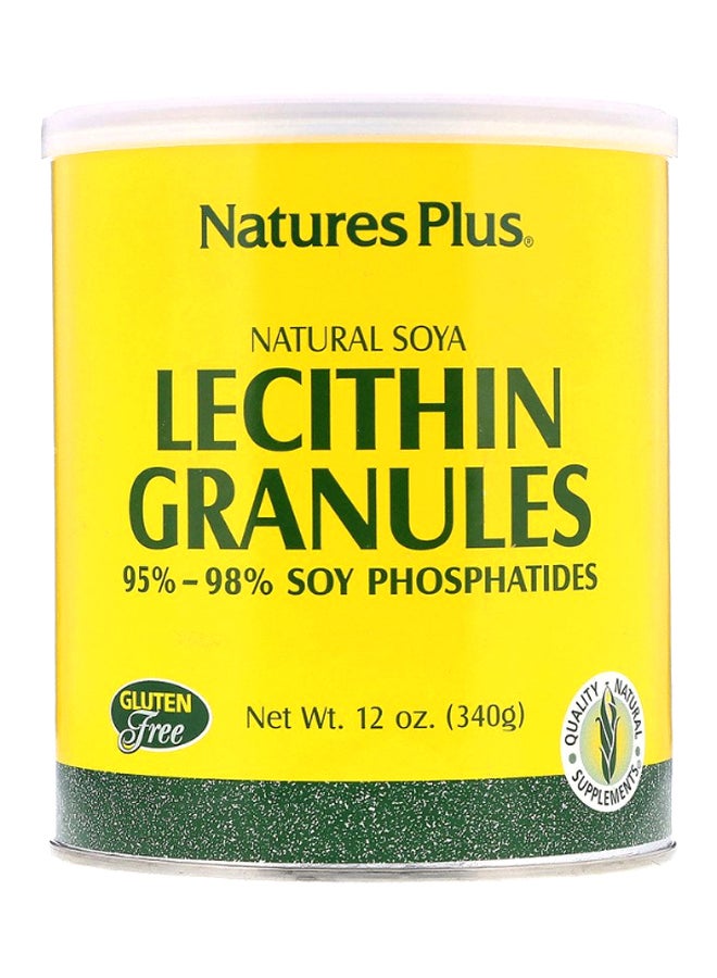 Natures Plus - Natural Soya Lecithin Granules - Image 1