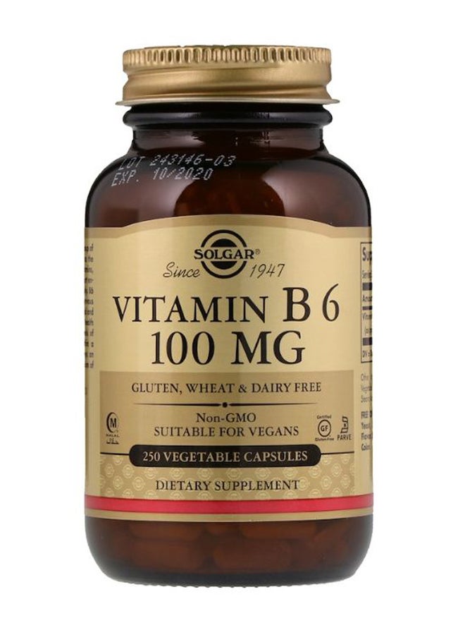 Solgar Vitamin B6 Supplement - 250 Capsules - Image 1