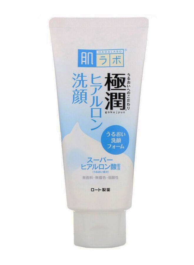 Hada Labo Gokujyun Face Wash 100grams - v1586545034/N36669364A_1