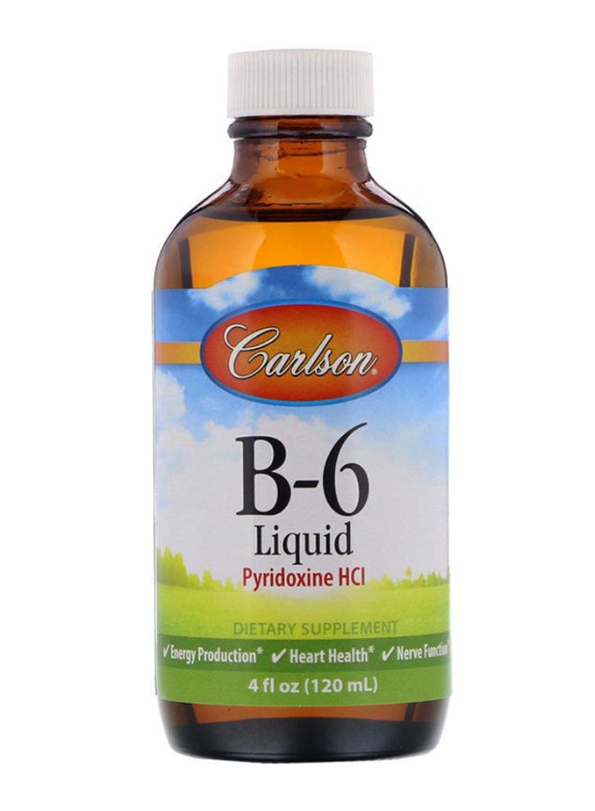 Carlson Labs B-6 Liquid  - Image 1